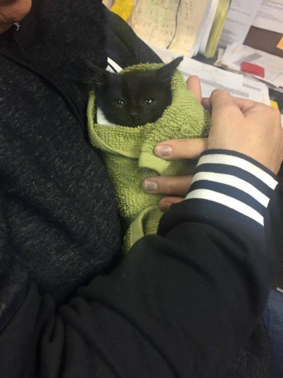 17848669797792311456955038773498.jpg