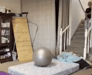 17856500000313249572725485751234.gif