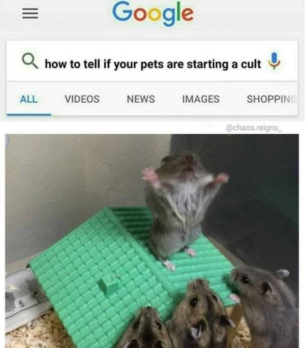 17861810600007061868309961514005.jpg