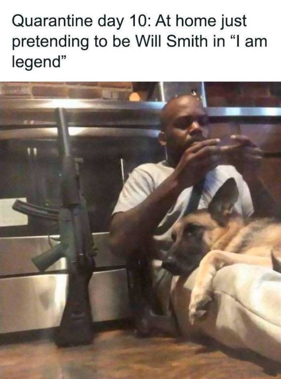 17865374349258142779677751073725.jpg