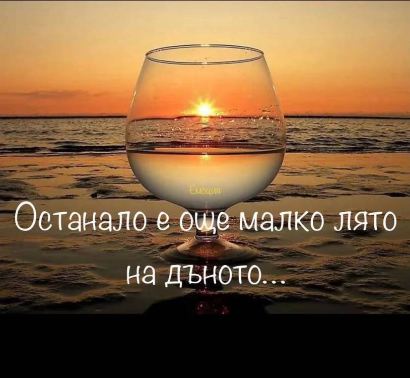 FB_IMG_1787982395348.jpg