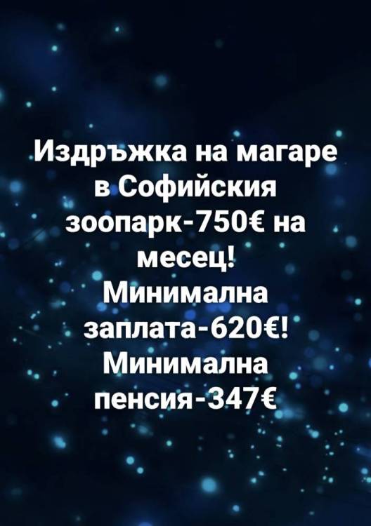 viber_изображение_2026-08-08_18-19-06-925.jpg