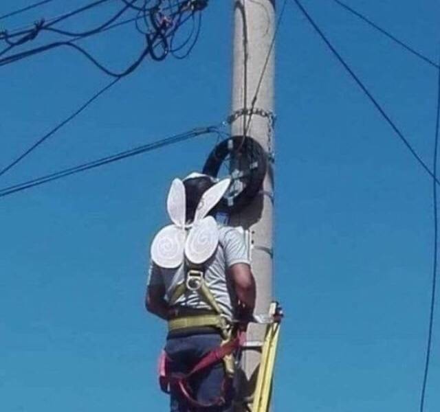 17883366781188810636952194108007.jpg
