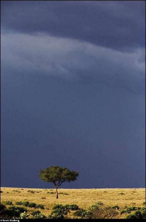 17884954261754654507375440022812.jpg