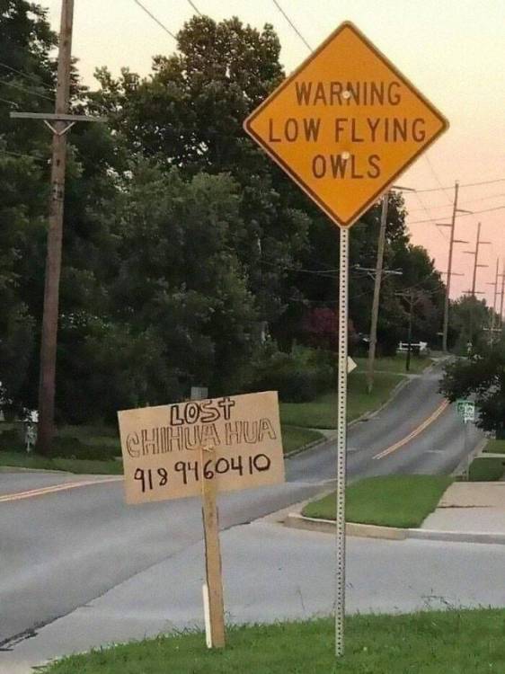 17889434611013727588392473289772.jpg