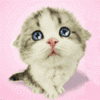 post-155085-1208083661_thumb.gif
