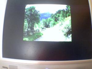 post-171450-1215755254_thumb.jpg