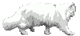 post-190956-1225572515_thumb.gif