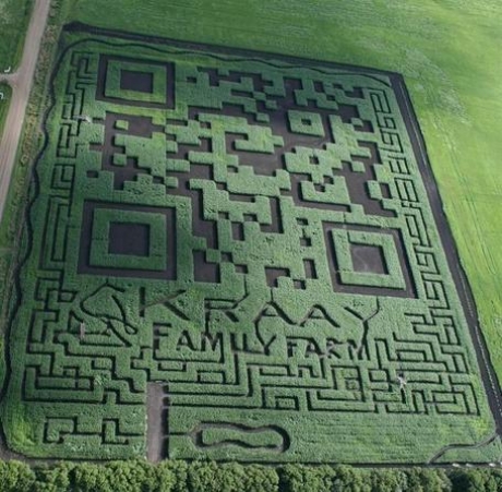 Превърнаха царевична нива в най-големия QR код в света