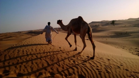 Фотовъзможностите на Nokia Lumia 1520 са впечатляващи