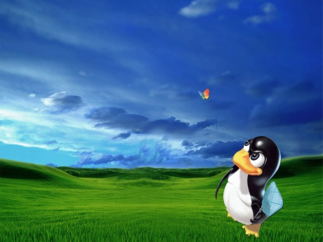 Google и Samsung – сред най-големите спонсори на Linux