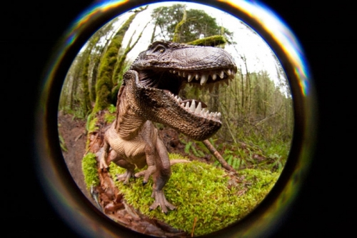 Lensbaby 5.8 Circular Fisheye: обектив за креативно фотографиране