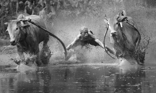 Обявиха носителите на наградата 2014 Sony World Photography