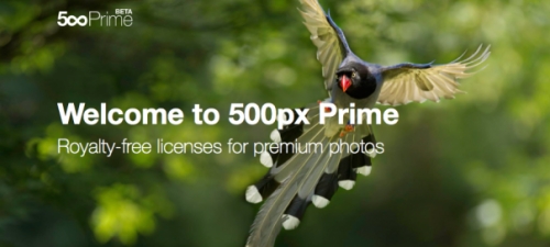 С новата Prime услуга на 500рх фотографите печелят 70% от продажбата на всяка своя снимка