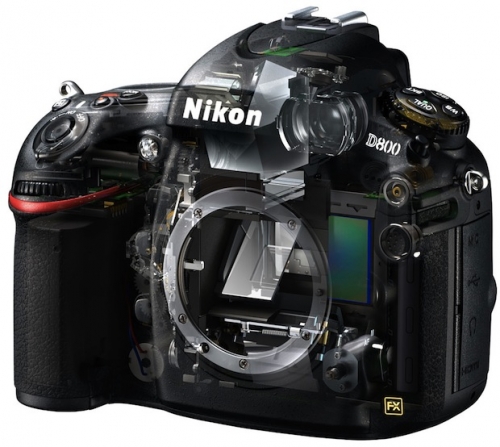 Nikon пускат наследника на D800/D800E през юни