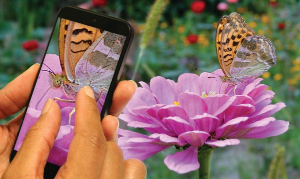Анонс на фотосензорите за смартфони OV23850 и OV23840 с резолюция 20 мегапиксела
