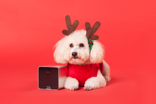Petcube Camera – за да си винаги наблизо  до своя домашен любимец