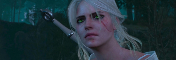 The Witcher 3: изразходвани са  милиона, спечелени са 0 милиона