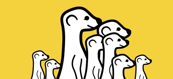 Meerkat за iOS вече предлага интеграция с Facebook