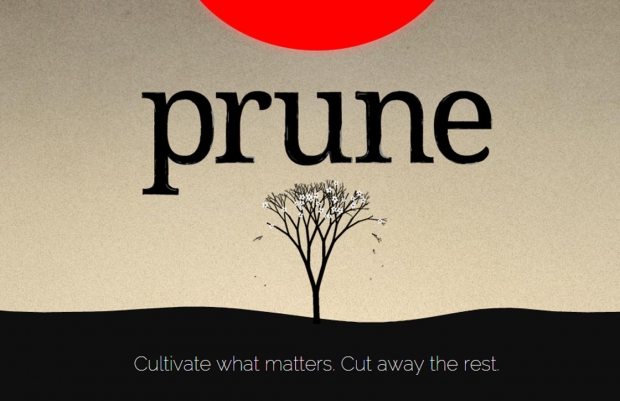 Според списание TIME, игра на 2015 година е главоблъсканицата Prune
