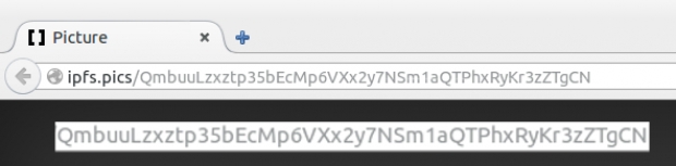   P2P    IPFS (InterPlanetary File System)