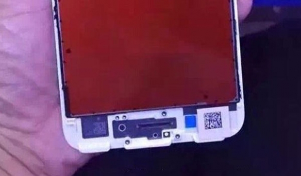 Фотография потвърждава наличието на сензорен бутон Home в iPhone 7