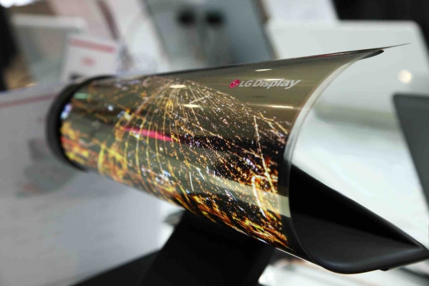 LG Display   18- OLED ,      