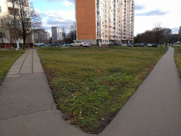 Ревю на LG Nexus 5X