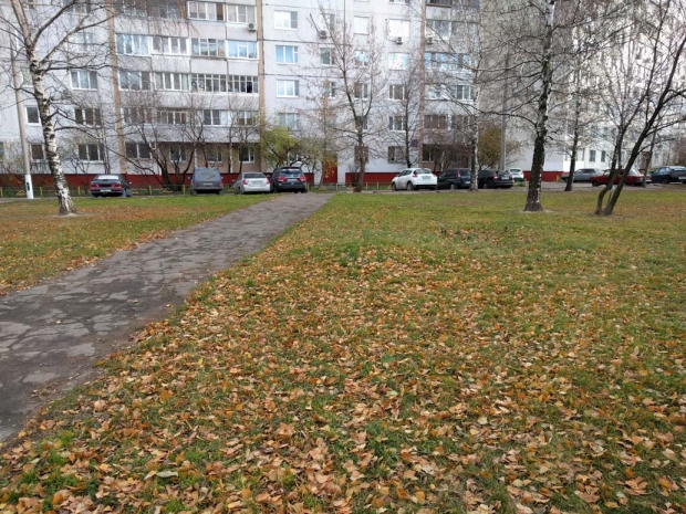 Ревю на LG Nexus 5X