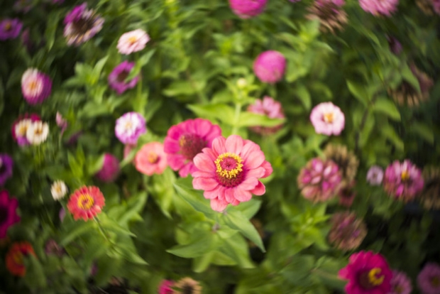 Lensbaby Trio 28: три обектива в един