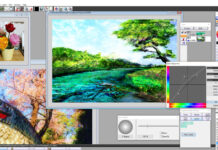 Pixia 6.61pe