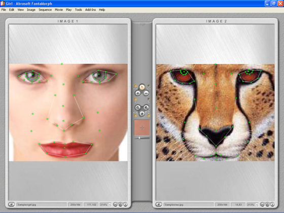 FantaMorph 5.6.3