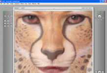 FantaMorph 5.6.3