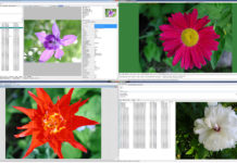 WildBit Viewer 6.20 Final