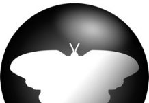 Qmmp 2.3.3