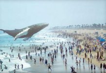 Мениджър в Microsoft ще оглави Magic Leap Шефът на Magic Leap се оттегля от поста си