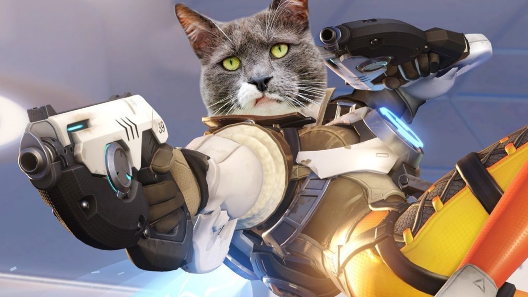 Cat Отказаните герои в Overwatch – котка с реактивна раница