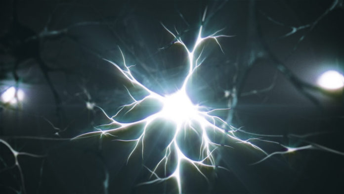 Neuron3 Американски стартъп подготвя експеримент за обратимост на мозъчната смърт