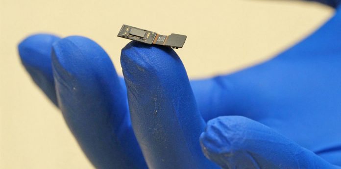 DARPA Мозъчен чип-имплант ще даде възможност да се вижда обработваната от мозъка информация