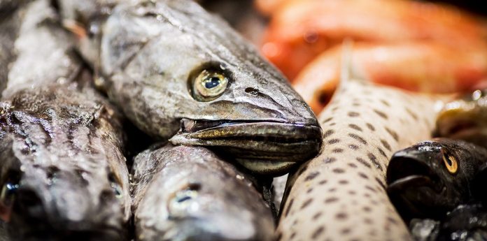 Fi Блокчейн платформата INS ще намали цените на продуктите с 30%