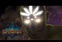 Pillars Of Eternity II: Deadfire с дебют и за конзоли