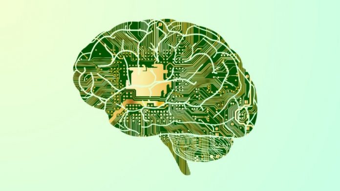 brain-computer-human Учените ще изследват, дали мозъкът не е квантов компютър