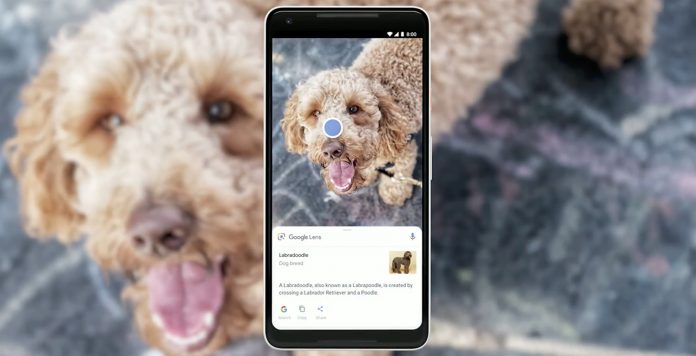 Google_Lens_Dog Подобренията в Google Lens могат да променят представите ни за възможностите на смартфона
