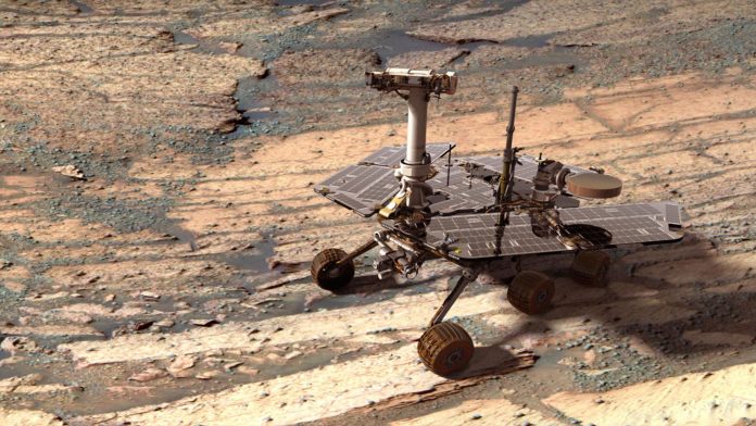 Oport Opportunity
