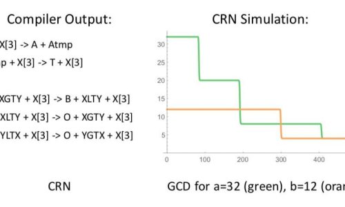 CRN++ – нов програмен език за програмиране на биохимичните реакции