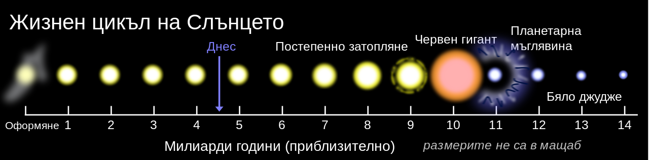Плутон може да е последният обитаем свят в Слънчевата система