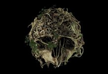 The Forest с над пет милиона продадени копия