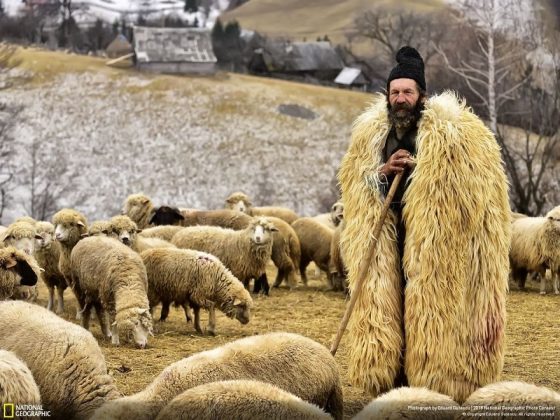 Във фотографския конкурс на National Geographic победи снимката на последствията от дизелгейта