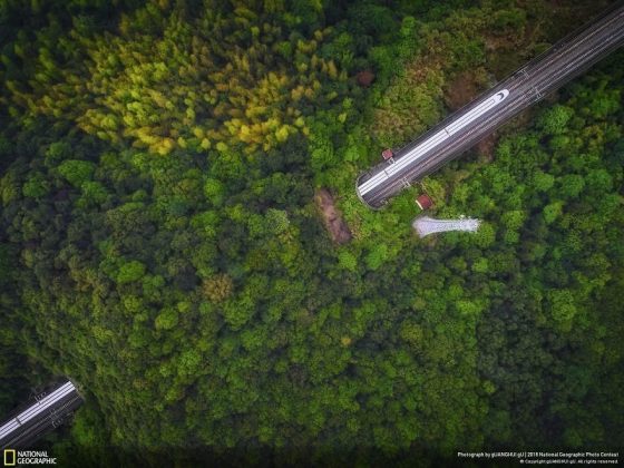 Във фотографския конкурс на National Geographic победи снимката на последствията от дизелгейта