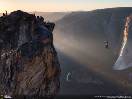 Във фотографския конкурс на National Geographic победи снимката на последствията от дизелгейта